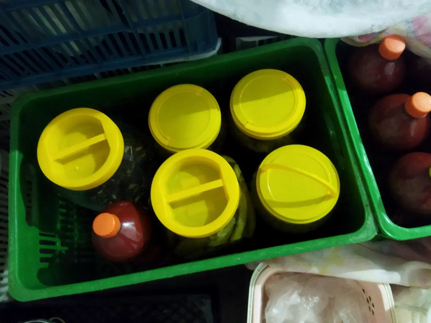 خیار شور|خوردنی و آشامیدنی|خان ببین, |دیوار