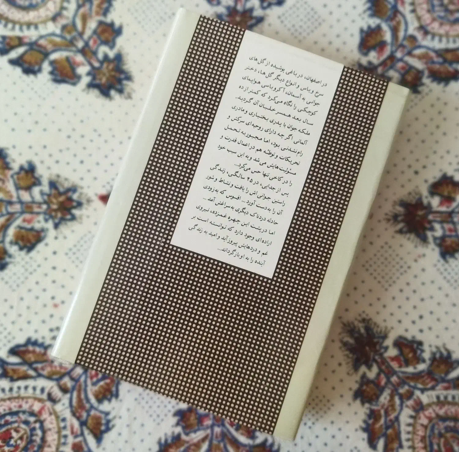 کاخ تنهایی ـ شکست شاهانه ـ اخرین سفر شاه|کتاب و مجله تاریخی|فردوس (خراسان), |دیوار