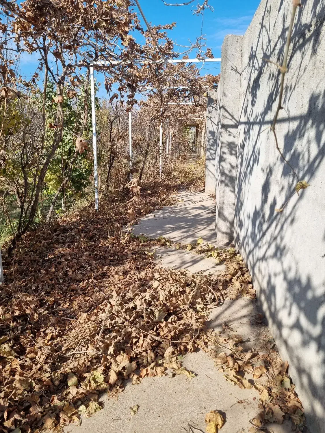 باغ ویلا فول امکانات،حاشیه جاده زیبای  دشت|فروش دفتر صنعتی، کشاورزی، تجاری|نیشابور, فضل|دیوار