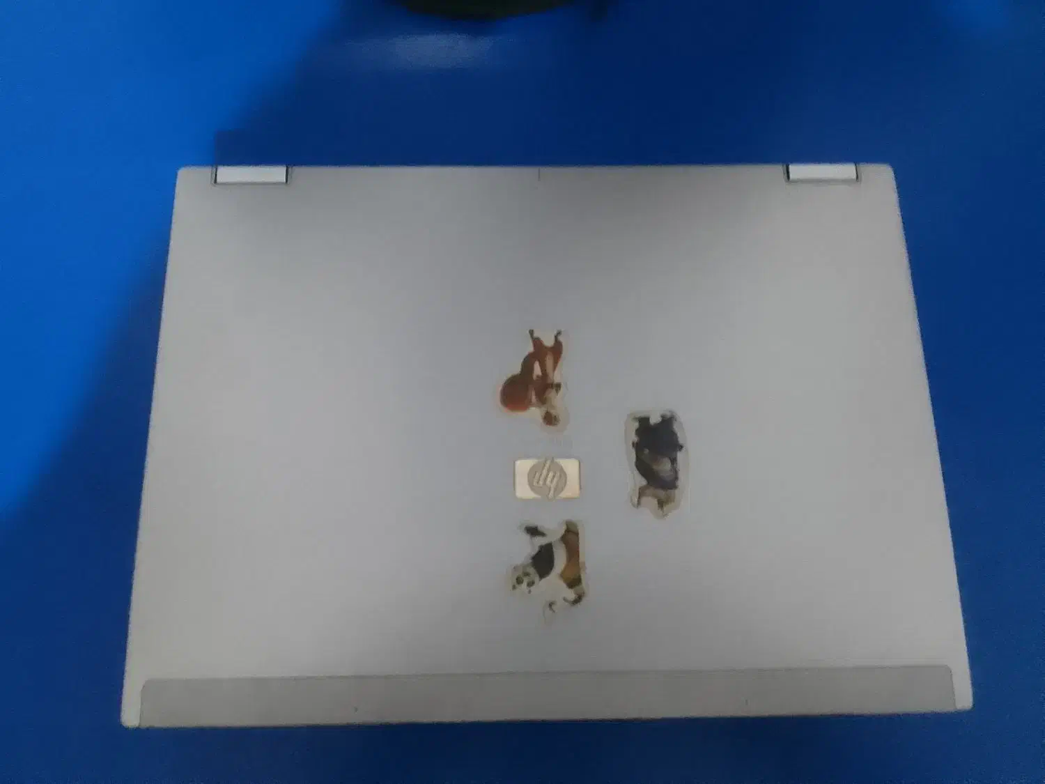 لپ تاب|رایانه همراه|اردبیل, |دیوار