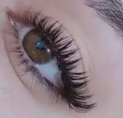 اکستنشن مژه|خدمات آرایشگری و زیبایی|میانه, |دیوار