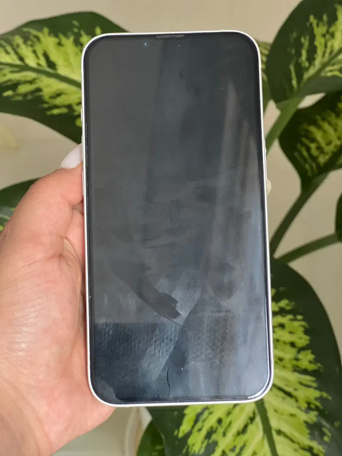 ایفون 13نرمال|موبایل|تربتحیدریه, مظفریه|دیوار