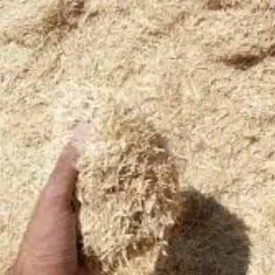 کاه دیم|لوازم جانبی حیوانات|باوله, |دیوار