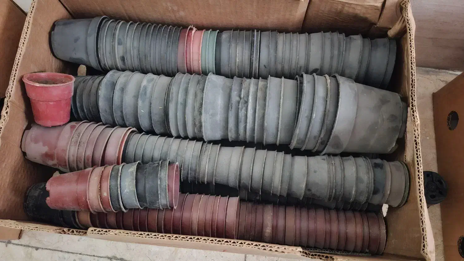 گلدان پلاستیکی کوچک برای قلمه و تکثیر گل و گیاه|عمده‌فروشی|صباشهر, |دیوار