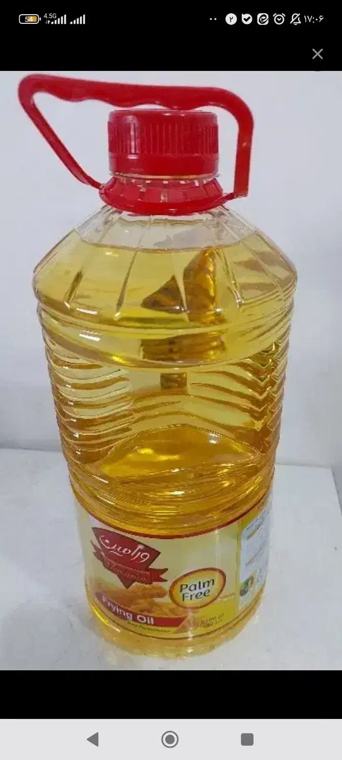 روغن مایع سرخ و پخت وپز|خوردنی و آشامیدنی|تهران, امام زاده عبدالله|دیوار