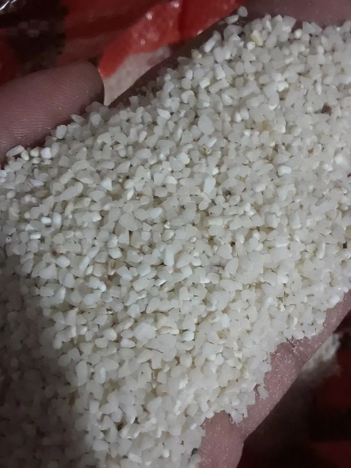 برنج ریزدانه هاشمی برنج سیچکا برای ارد|خوردنی و آشامیدنی|کوچصفهان, |دیوار