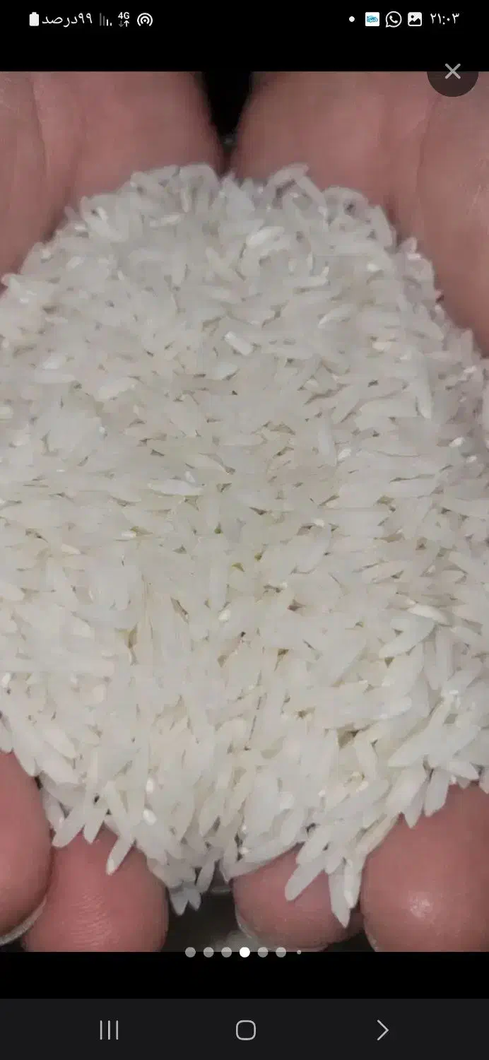 برنج محلی دورود لرستان خوشپخت و خوش عطر|خوردنی و آشامیدنی|پرند, فاز ۰|دیوار