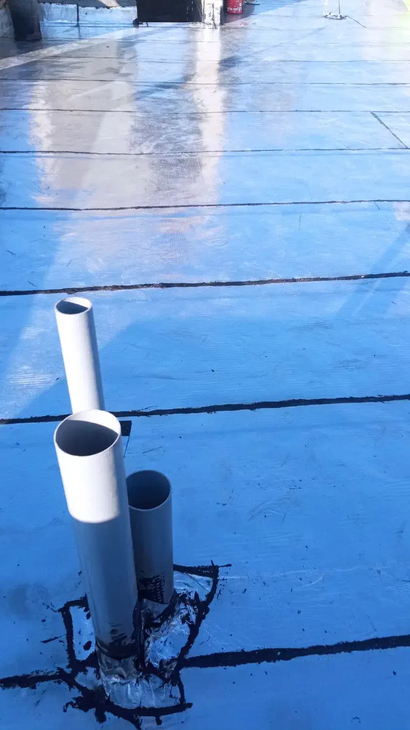 ایزوگام دلیجان|خدمات پیشه و مهارت|لردگان, |دیوار