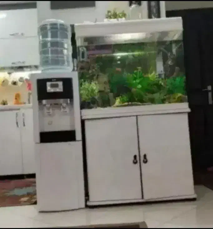 آکواریوم با تمامی متعلقات و تزیینات|ماهی|فولادشهر, C6|دیوار