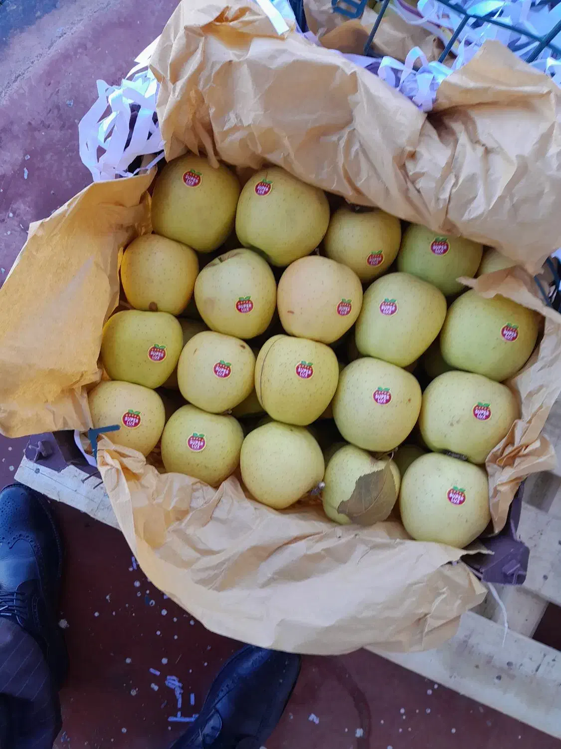 سیب سفید درجه یک|خوردنی و آشامیدنی|سیلوانه, |دیوار