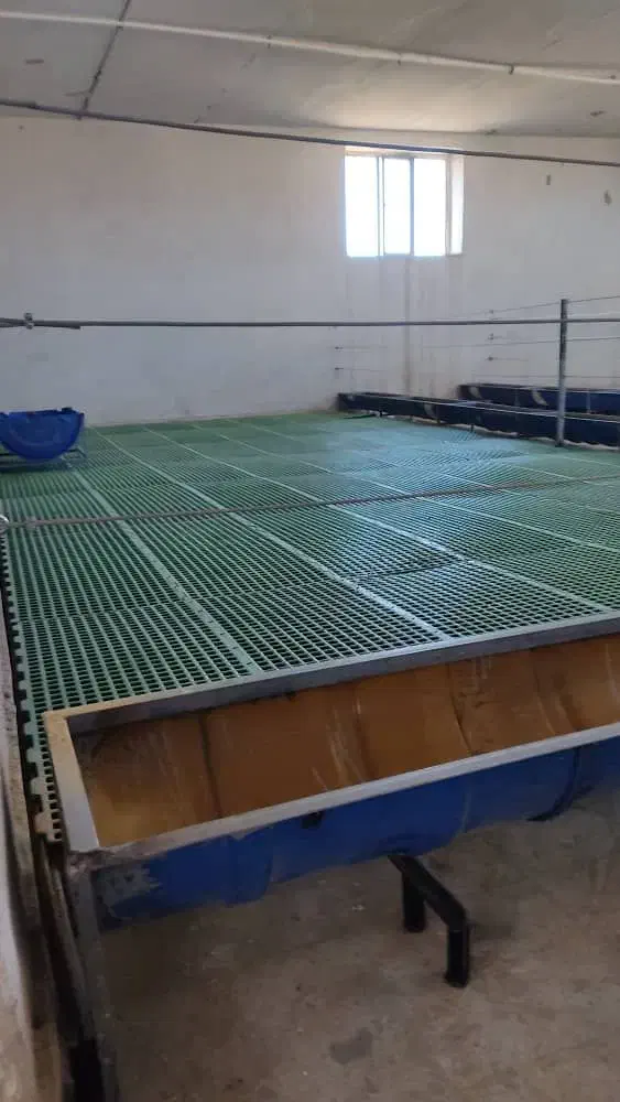 پالت زیردام|عمده‌فروشی|کرج, شهرک الهیه|دیوار