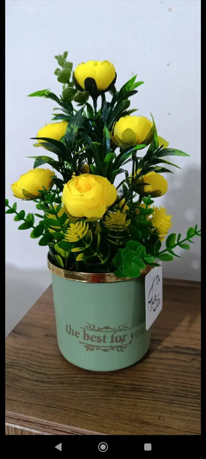 با سلام|گل مصنوعی|تهران, هاشمآباد|دیوار