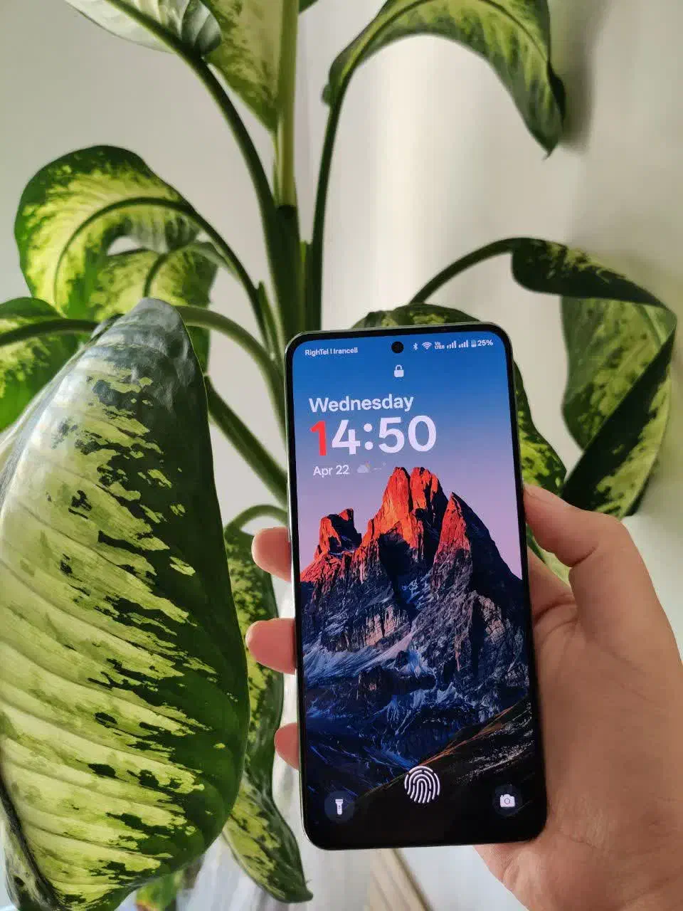 oneplus10poro|موبایل|تهران, استاد معین|دیوار
