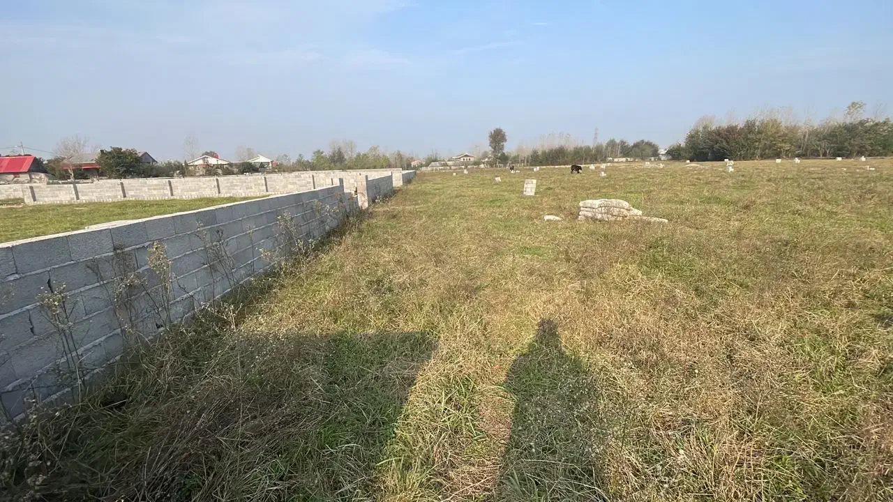 زمین باغی 260متری|فروش زمین و ملک کلنگی|رشت, گلباغ نماز|دیوار