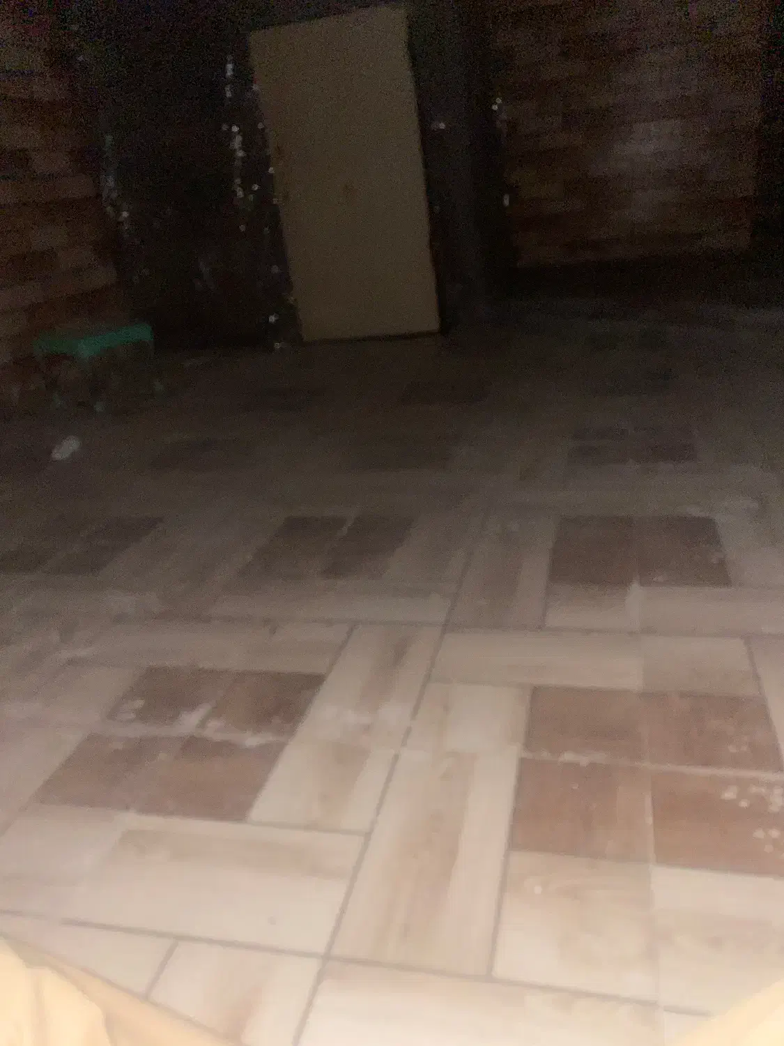 فنچ نر و ماده|پرنده|زاهدان, |دیوار