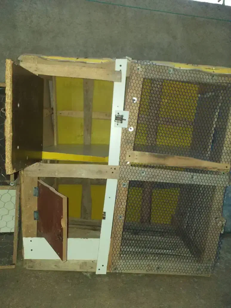 قفس کبوتر|لوازم جانبی حیوانات|آبدانان, |دیوار