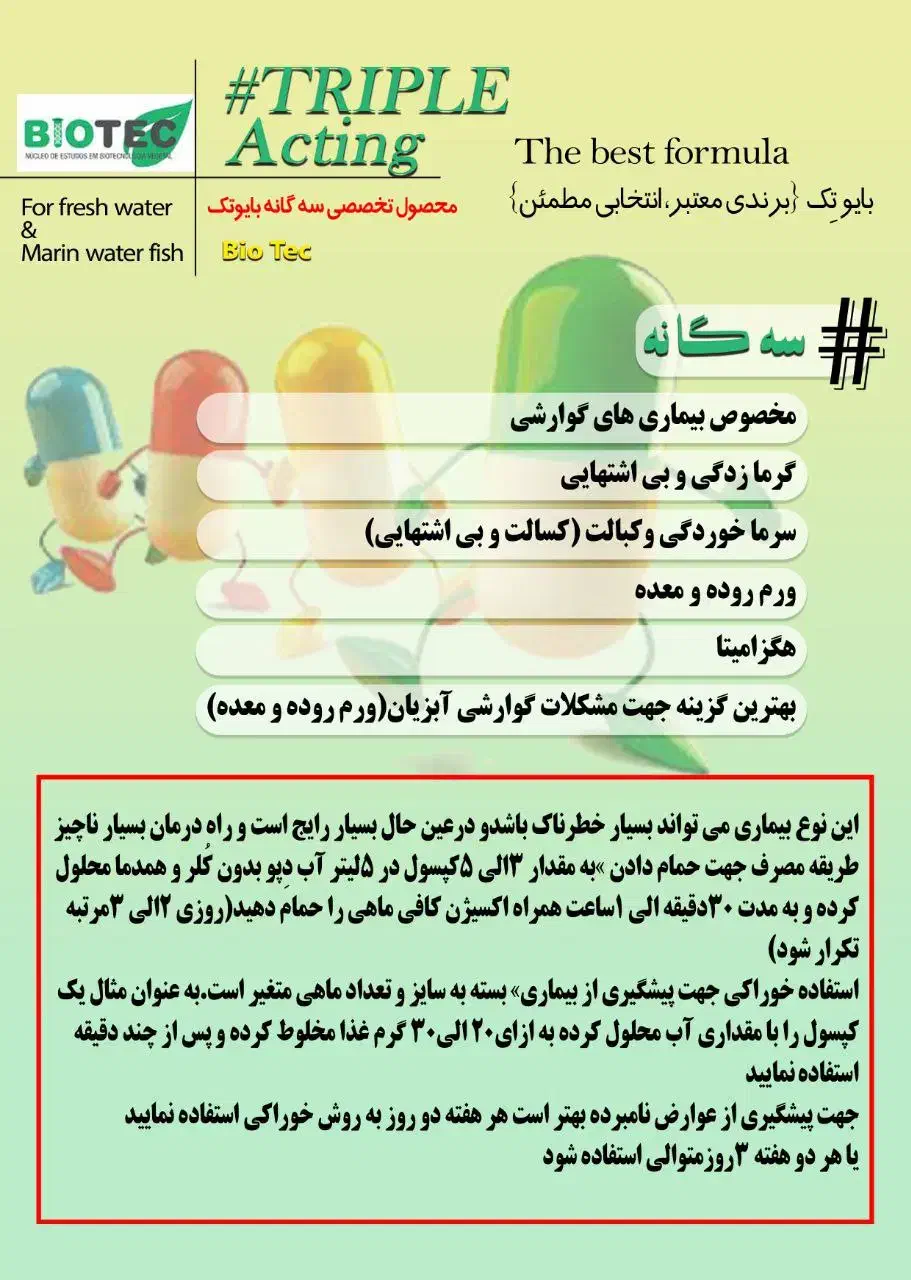 تداخل باکتری.عفونت داخلی کیسه هواگلدفیش .دیسکس و..|ماهی|تهران, افسریه شمالی|دیوار