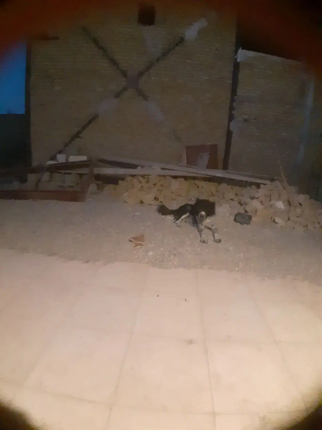 سگ قدرجانی|سگ|هشتگرد, هشتگرد قدیم|دیوار