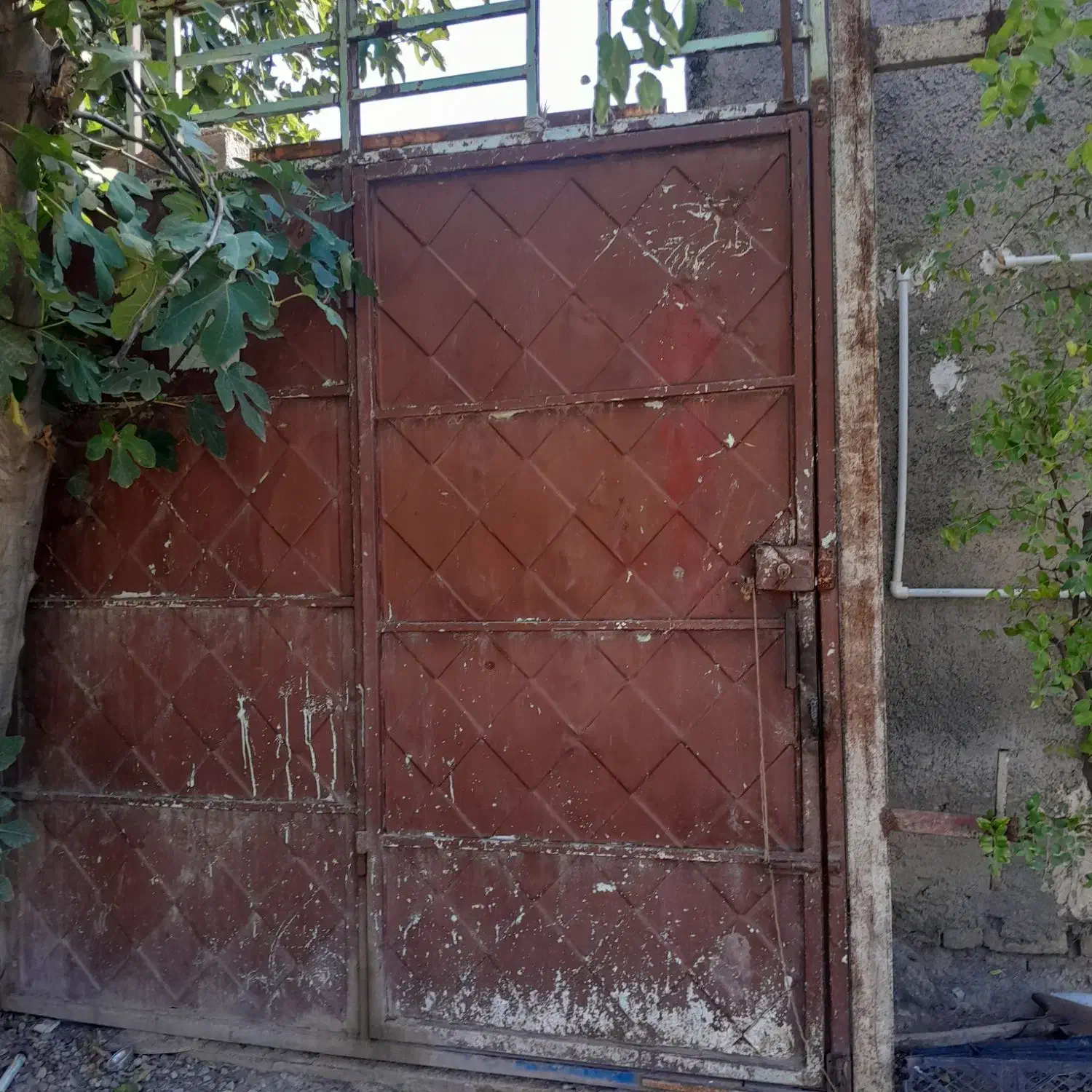 در حیاط سالم ۲مترو نیم|مصالح و تجهیزات ساختمان|سرخنکلاته, |دیوار