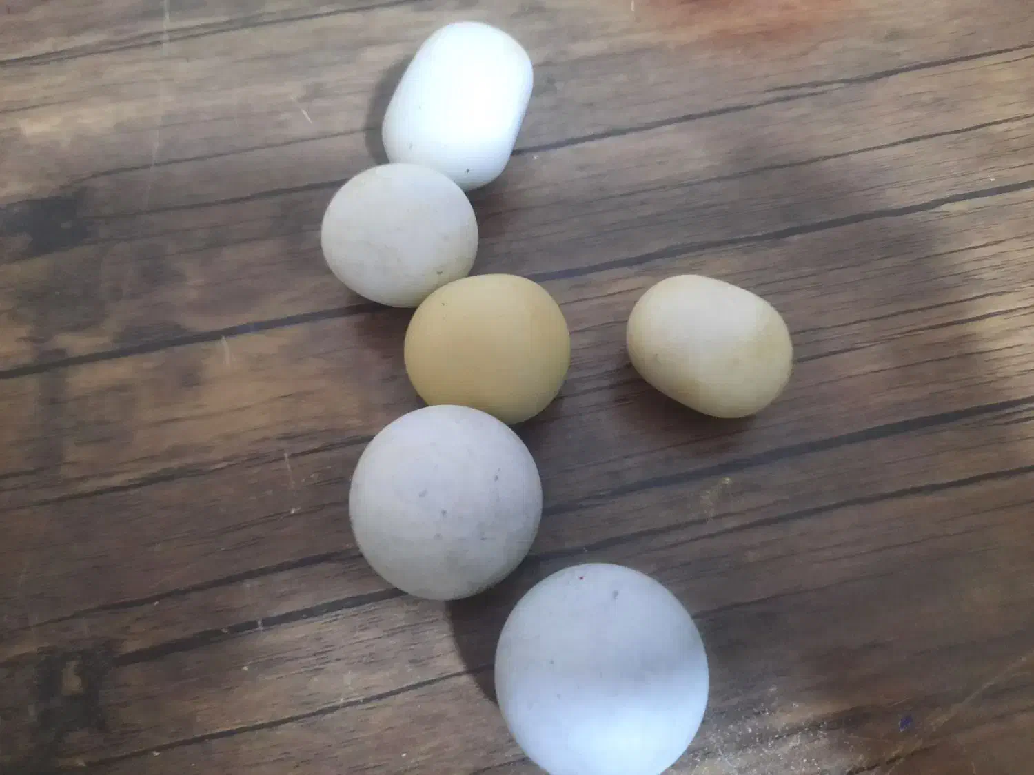 سنگ اسیب اصل|عمده‌فروشی|یاسوج, |دیوار