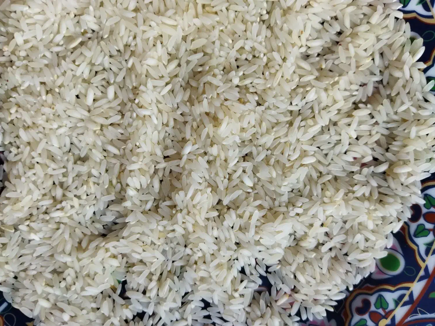 برنج عنبربوی خوزستان|خوردنی و آشامیدنی|رشت, لاکان شهر|دیوار