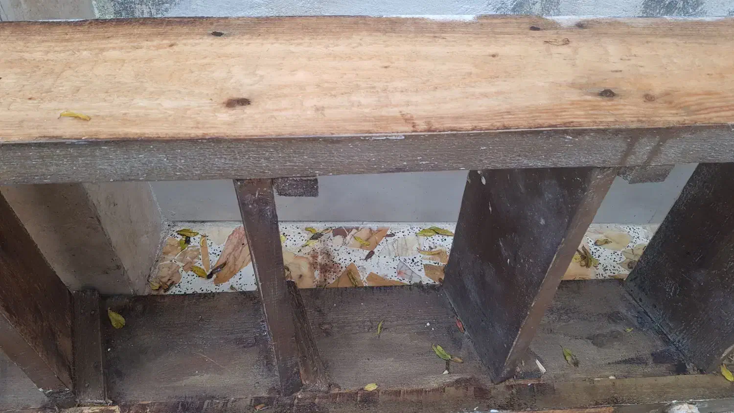 نردبان چوبی راش|مصالح و تجهیزات ساختمان|رشت, احمد گوراب|دیوار