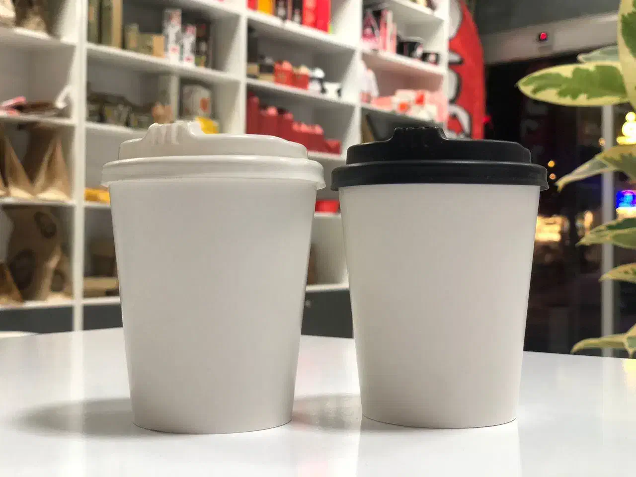 لیوان کاغذی|ظروف نگهدارنده، پلاستیکی، یکبارمصرف|باغستان, |دیوار