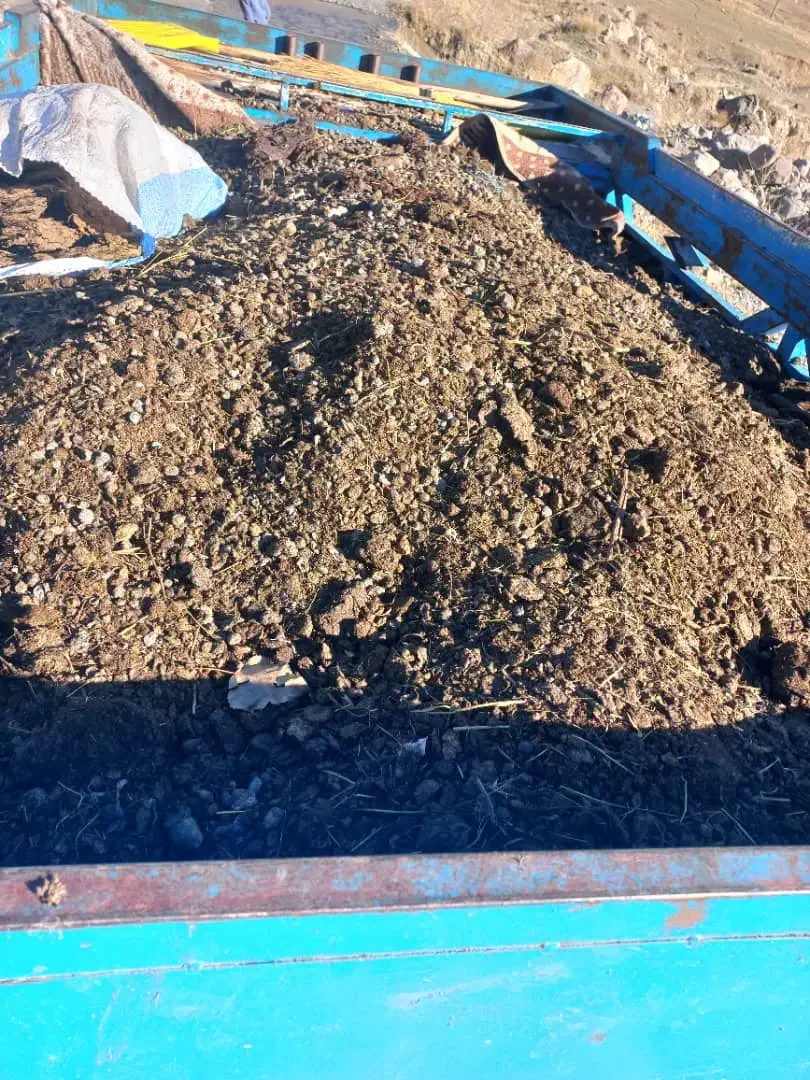 کود، پهن، قووت|خدمات باغبانی و درختکاری|اهر, |دیوار