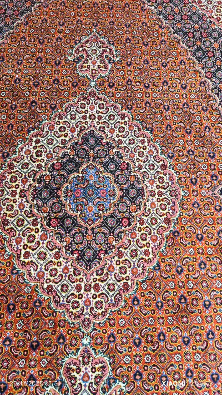 فرش دستباف اردبیل|فرش|اردبیل, |دیوار