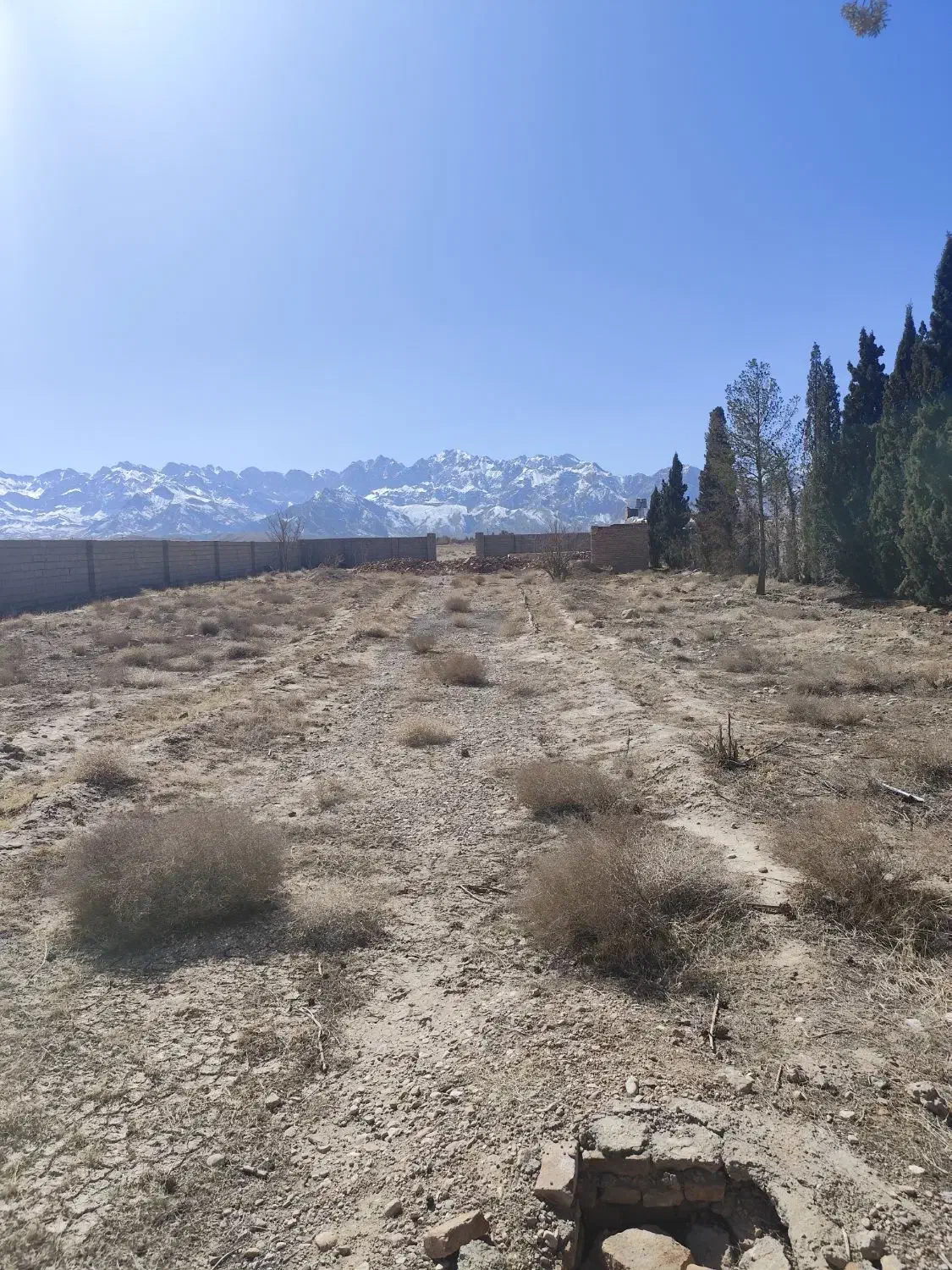 زمین هفت باغ|فروش زمین و ملک کلنگی|ماهان, |دیوار