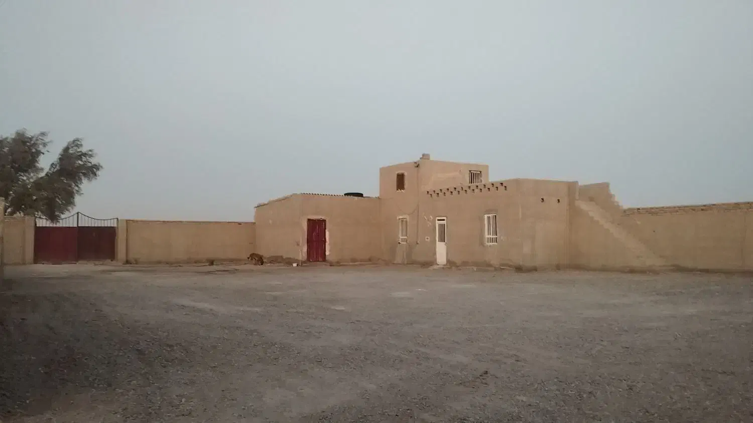 فروش دامداری صنعتی ۱۰۰ راسی|فروش دفتر صنعتی، کشاورزی، تجاری|نیمروز, |دیوار