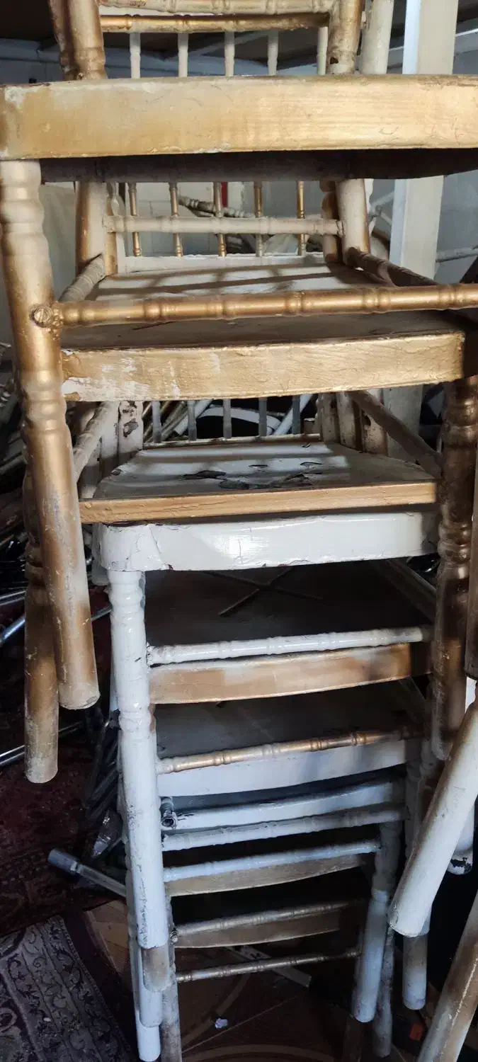 صندلی مجلسی شیواری 100عدد|صندلی و نیمکت|شیراز, بید زرد|دیوار