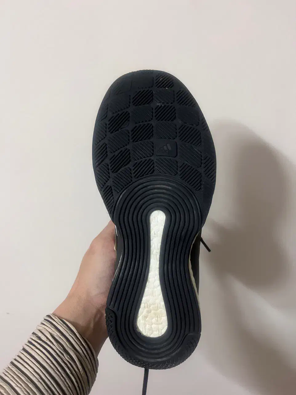 کفش اورجینال والیبال آدیداس کریزی فلایت|کیف، کفش، کمربند|اصفهان, پروین|دیوار