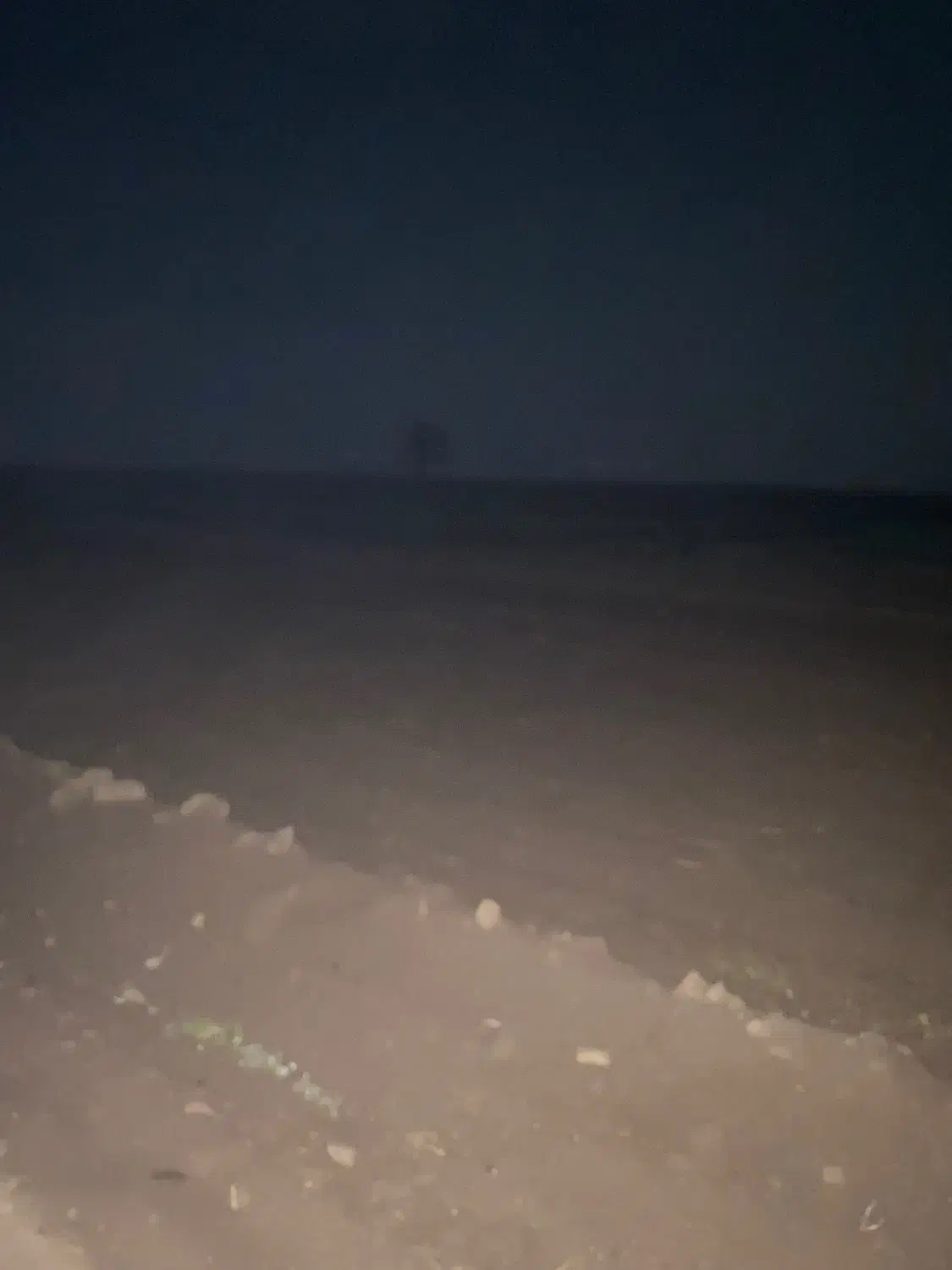 جو‌‌‌بندری|لوازم جانبی حیوانات|سبزوار, فقیه سبزواری|دیوار