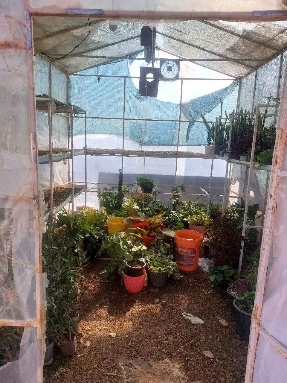 سازه اهنی|فروشگاه و مغازه|کنگاور, |دیوار