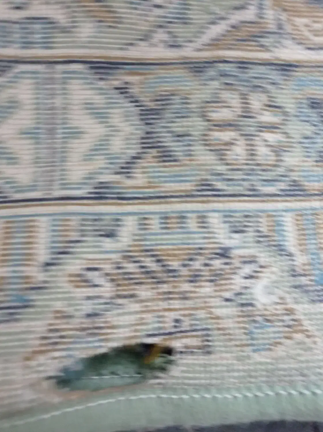 فرش|فرش|تایباد, |دیوار