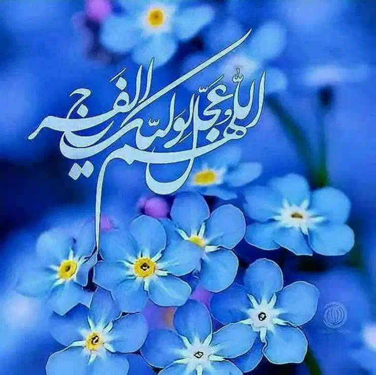 تدریس خصوصی|خدمات آموزشی|تهران, لویزان|دیوار