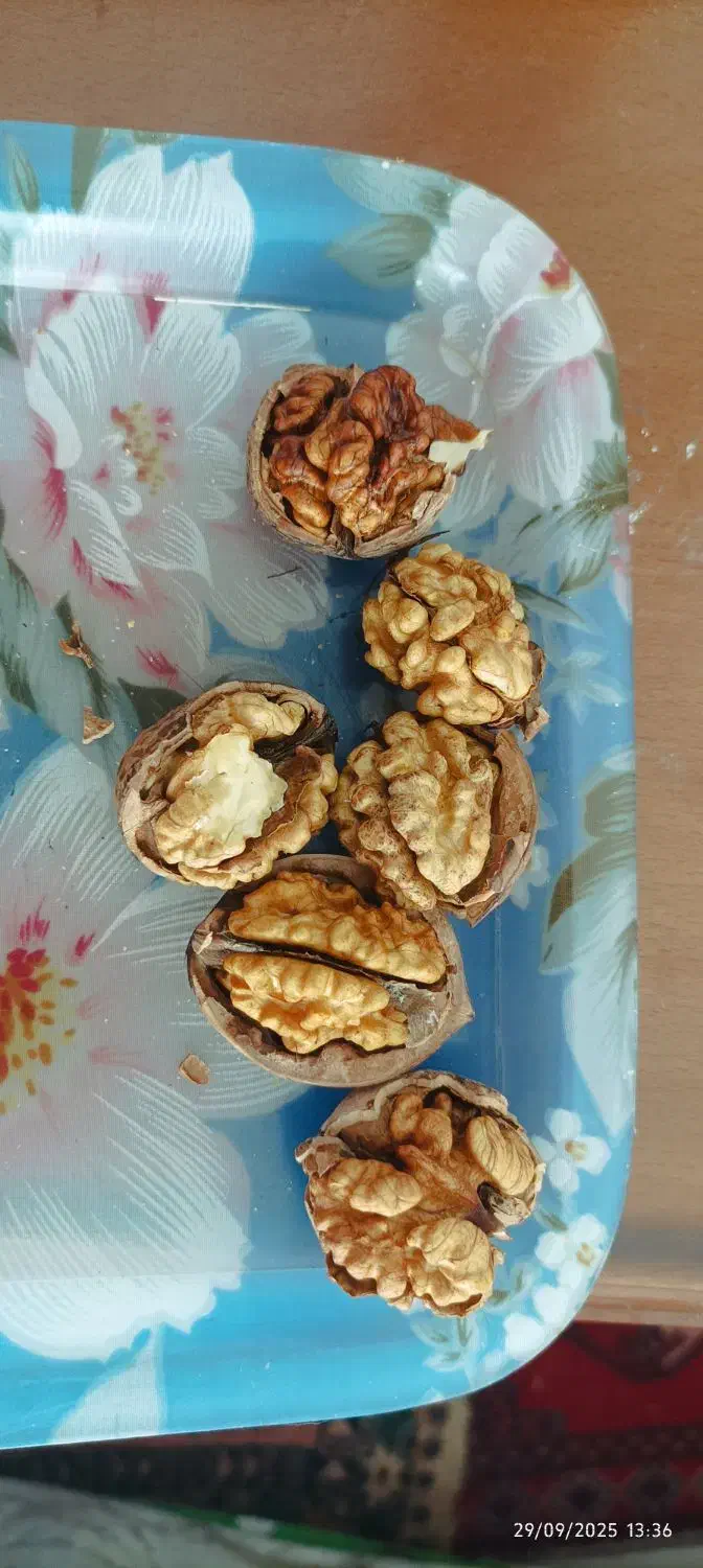 گردو با پوست سبز . و گردو پوست کنده . درجه یک|خوردنی و آشامیدنی|قزوین, |دیوار