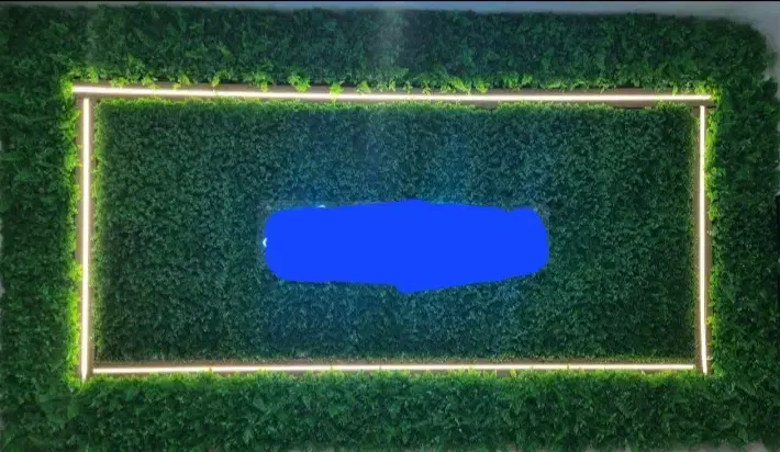 گرینوال همراه با لاین نوری|ریسه و چراغ تزئینی|کرج, کمالشهر|دیوار