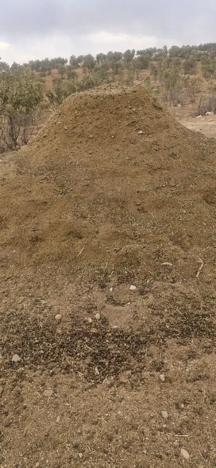 کود.کود گوسفندی|گل و گیاه طبیعی|لردگان, |دیوار