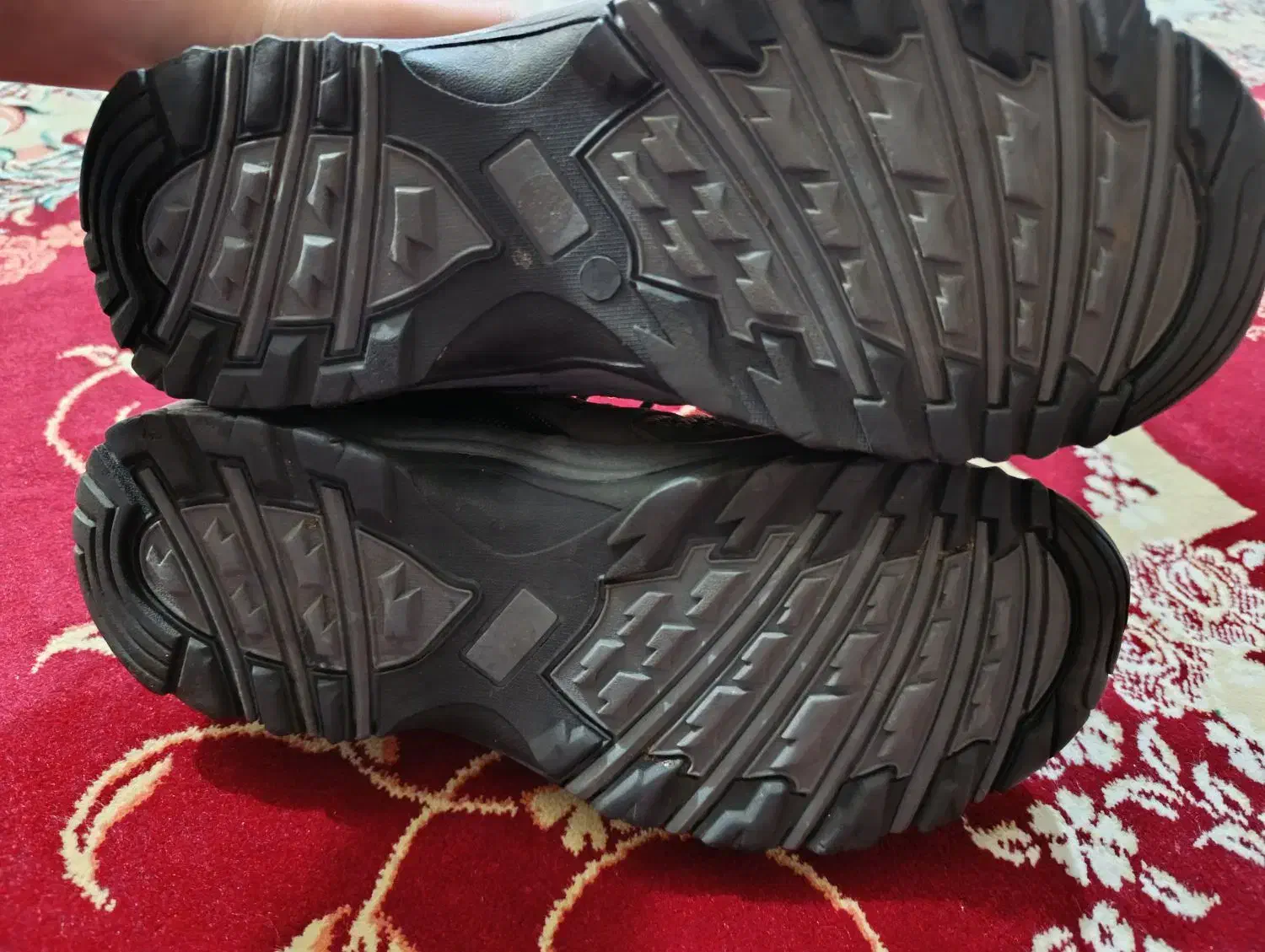 کفش|کیف، کفش، کمربند|اهواز, بهارستان|دیوار