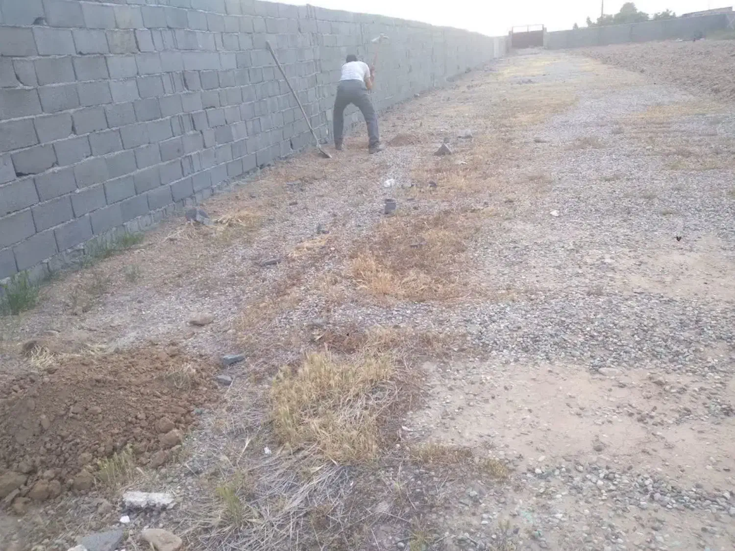 ۹هزار متر چهار دیواری زمین و باغچه و گلخونه|فروش زمین و ملک کلنگی|پاکدشت, پاکدشت (مامازند)|دیوار