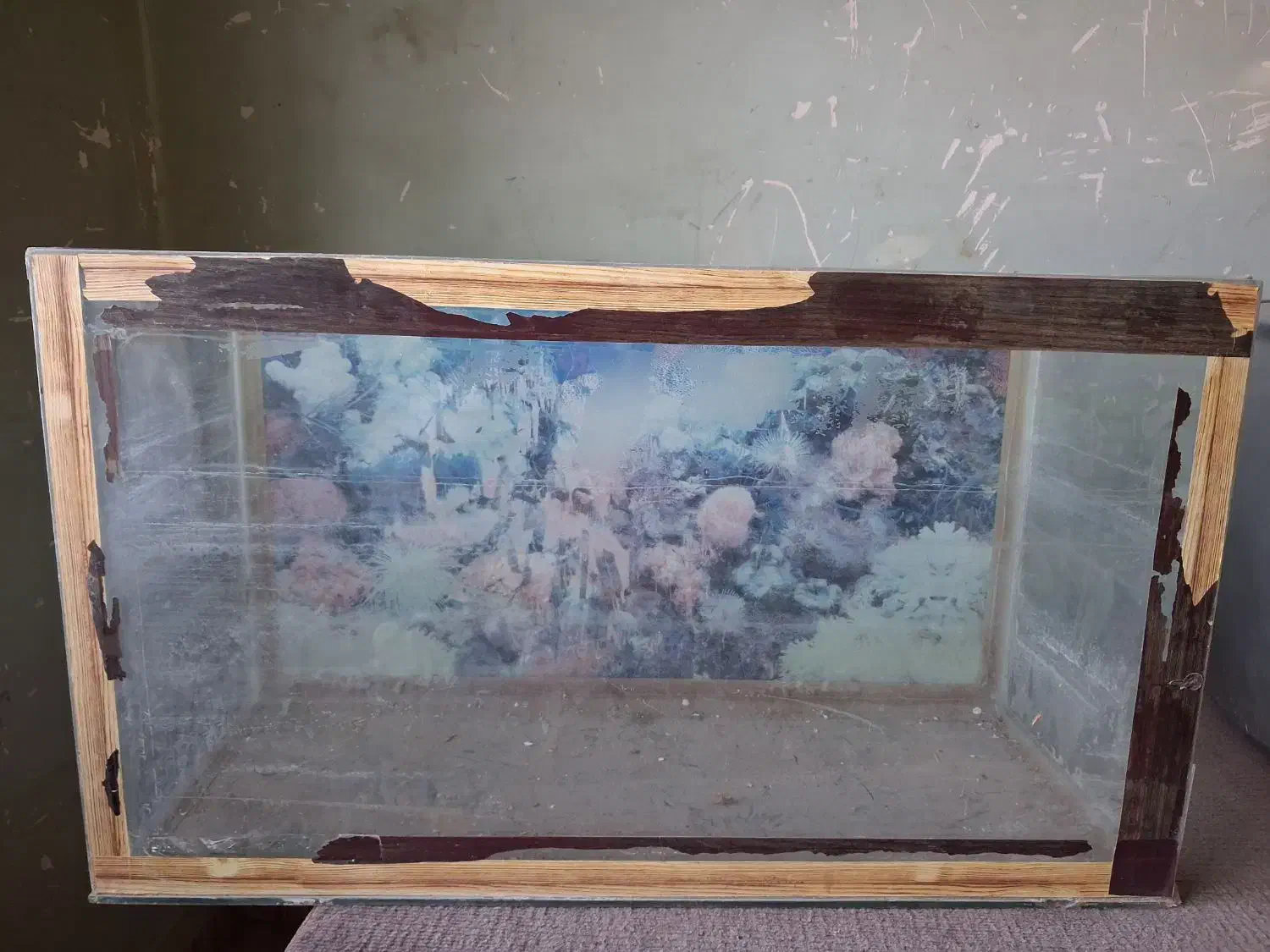 آکواریوم|لوازم جانبی حیوانات|یزد, |دیوار