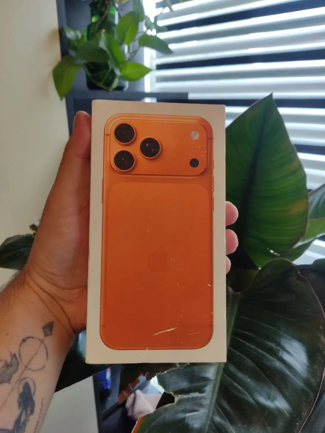 17promax 256Gig|موبایل|مشهد, بهشت|دیوار