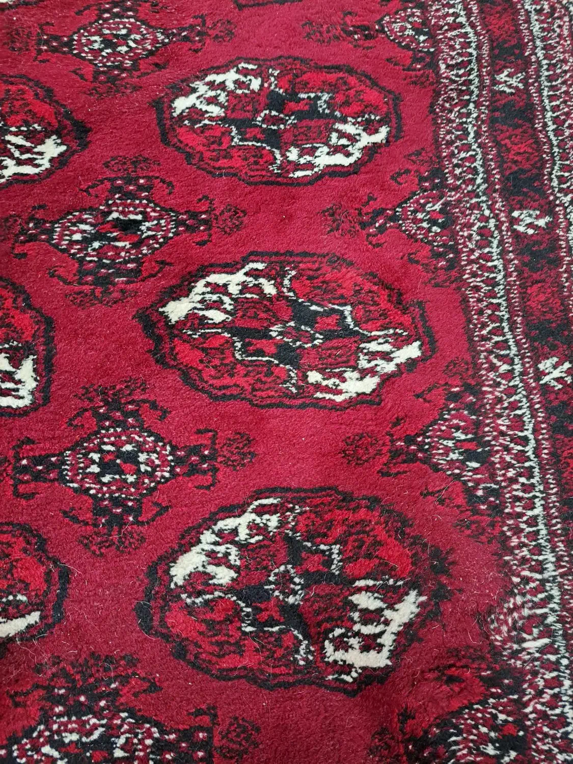 قالی ترکمنی|فرش|بندر ترکمن, |دیوار