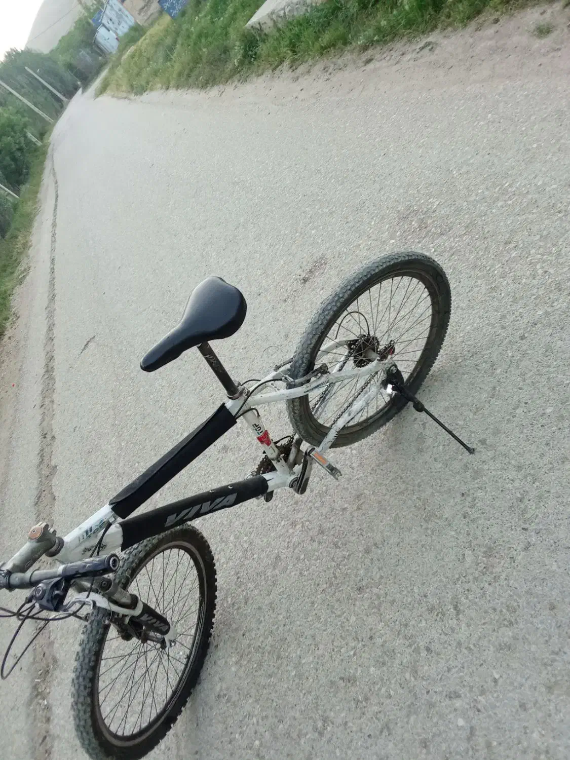 دوچرخه ویوا|دوچرخه، اسکیت، اسکوتر|فارسان, |دیوار