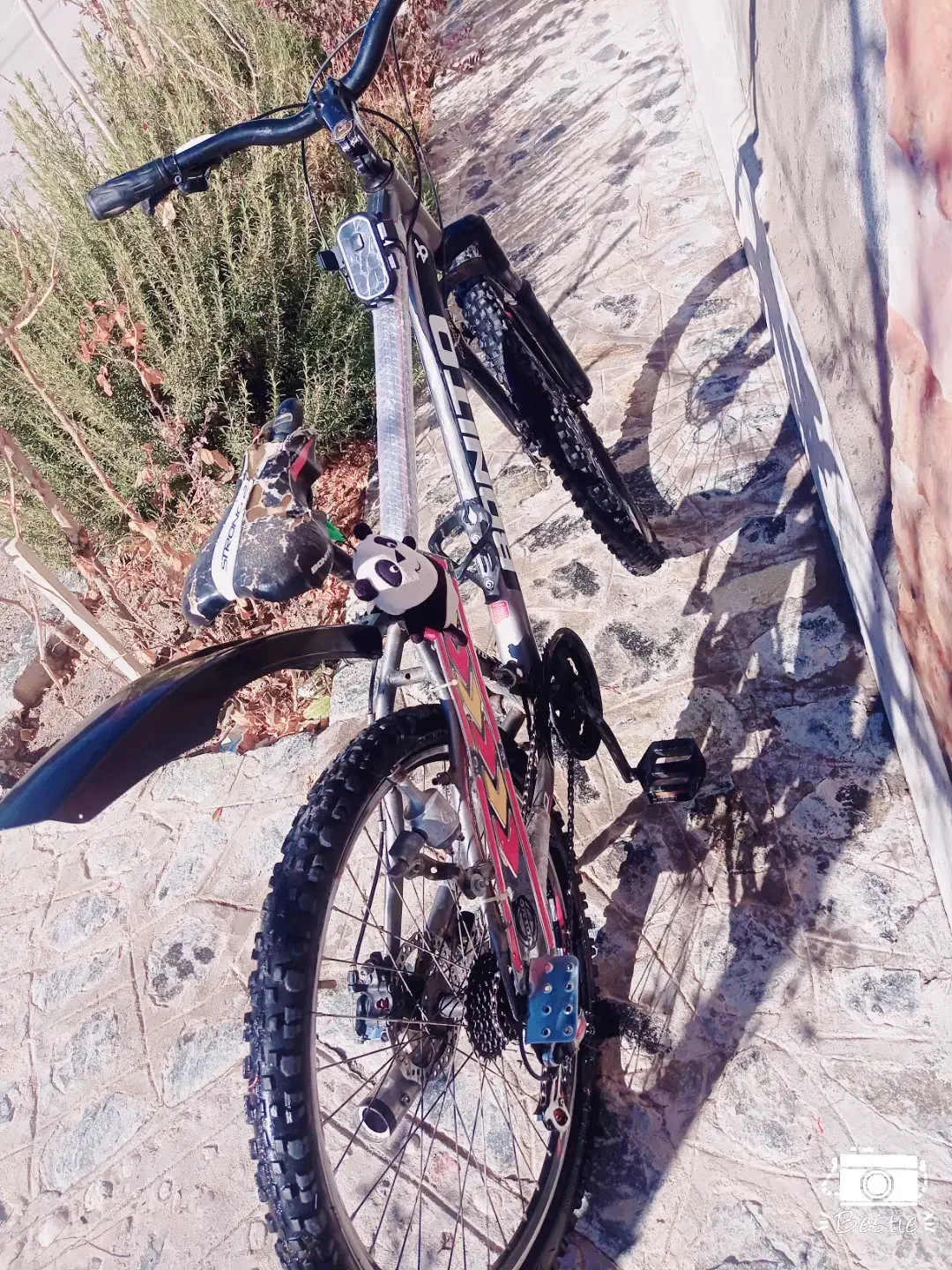 دوچرخه 26|دوچرخه، اسکیت، اسکوتر|سربیشه, |دیوار