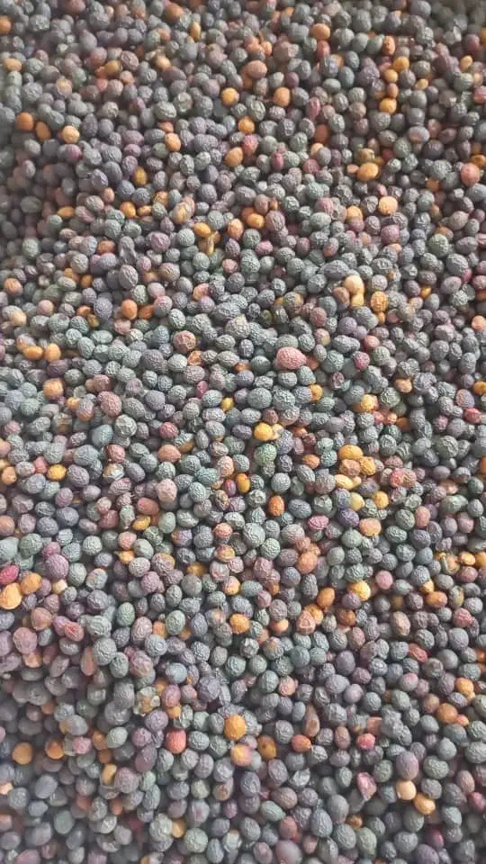 بنه|خوردنی و آشامیدنی|حنا, |دیوار