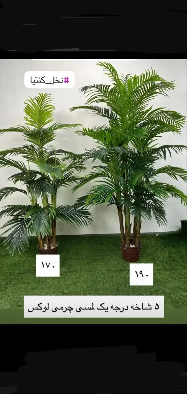 نخل درخچه|گل مصنوعی|تهران, مشیریه|دیوار