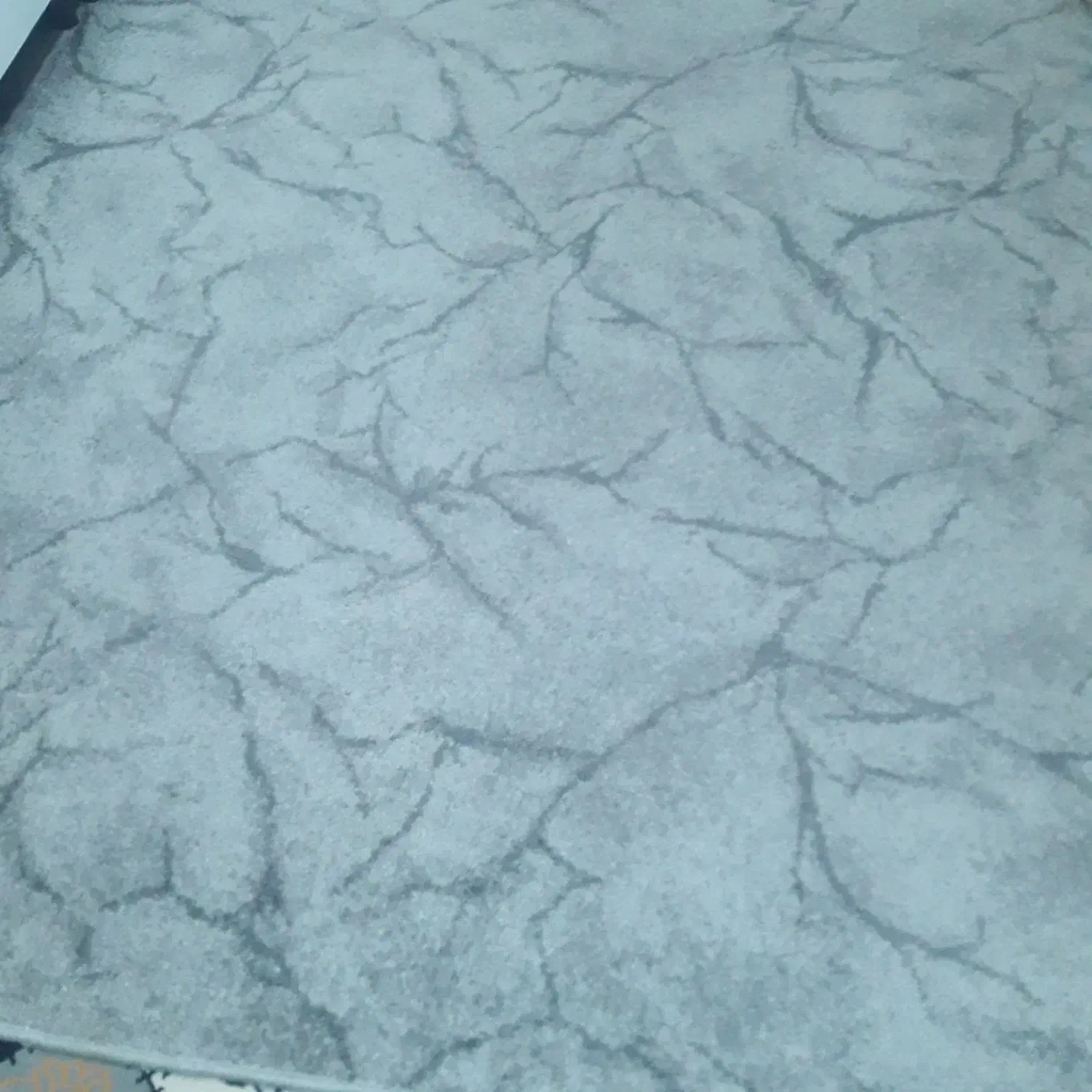 پالاز موکت ۹متری ۱بارشسته|موکت|اسلام‌‌آباد غرب, |دیوار